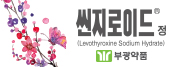 씬지로이드